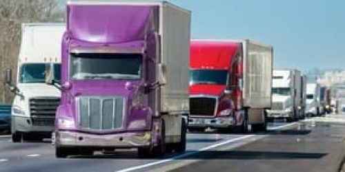 trmpjb8zhxne9mgw70hm trmpjb8zhxne9mgw70hm